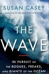 The Wave: In Pursuit of the Rogues, Freaks and Giants of the Ocean [Repost]