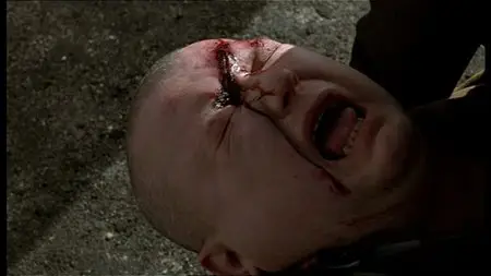 Cemetery Man (1994)