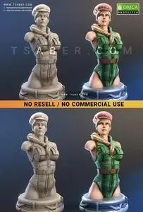 Agent Cammy Bust