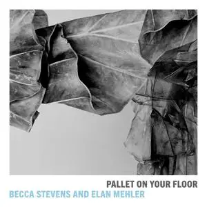 Becca Stevens & Elan Mehler - Pallet on Your Floor (2020)