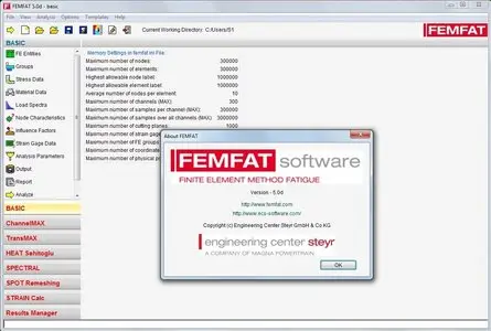 ECS FEMFAT 5.0d