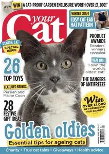 Your Cat - January 2016