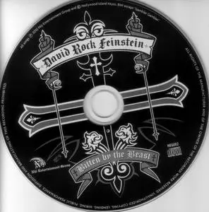 David Rock Feinstein - Bitten By The Beast (2010)