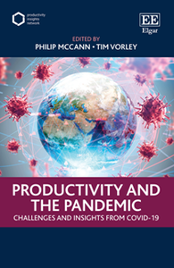 Productivity and the Pandemic : Challenges and Insights from Covid-19