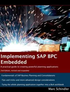 Implementing SAP BPC Embedded - 2nd Edition