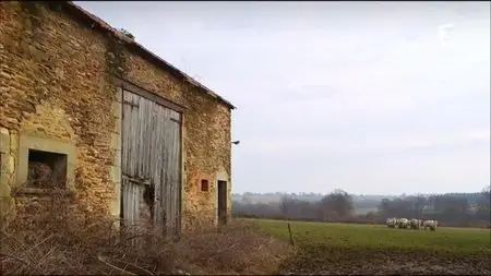 (Fr3) Hervé Vilard, l'insolent (2015)