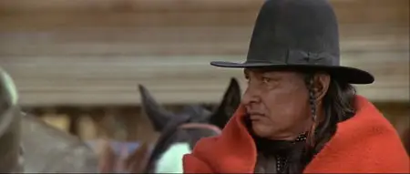 Buffalo Bill and the Indians (1976)
