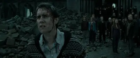 Harry Potter and the Deathly Hallows: Part 2 (2011)
