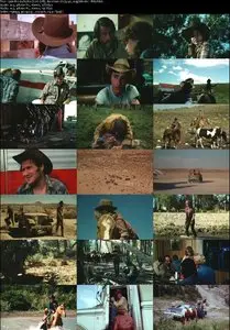 Wild Stallion (1952) 