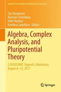 Algebra, Complex Analysis, and Pluripotential Theory