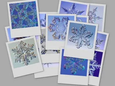 Snow Crystals