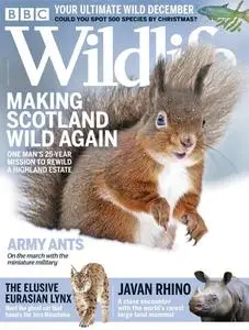 BBC Wildlife Magazine – November 2020