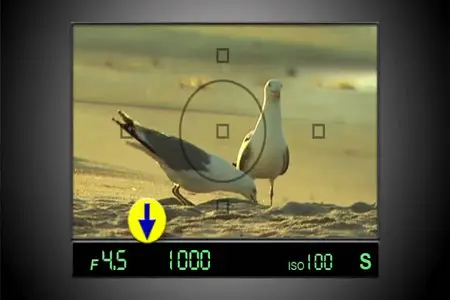Magic Lantern DVD Guides: Great Photos with your digital SLR