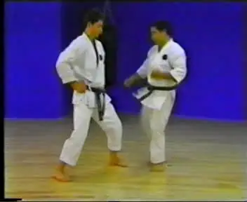Higaonna - Mastering Traditional Okinawan Goju-Ryu Karate Series