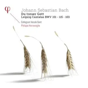 Philippe Herreweghe, Collegium Vocale Gent - Johann Sebastian Bach: Du treuer Gott (2017)