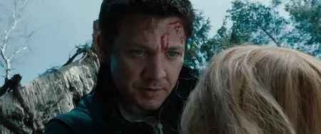 Hansel and Gretel Witch Hunters (2013)