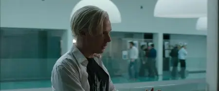The Fifth Estate (2013)