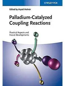 Palladium-Catalyzed Coupling Reactions: Practical Aspects and Future Developments [Repost]