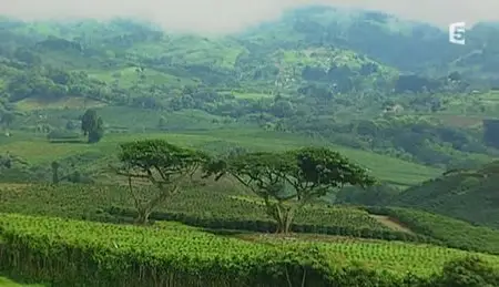 (Fr5) Costa Rica - Rythme nature (2012)