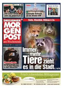 Dresdner Morgenpost – 19. November 2022