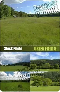 Stock Photo: Green field 8