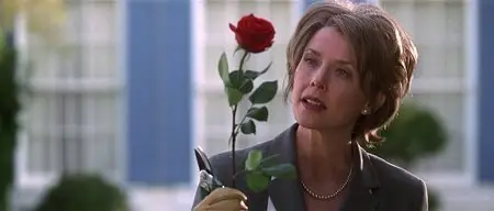 American Beauty (1999)