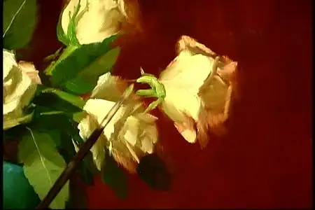 Elizabeth Pruitt - Roses & Jade (2011)