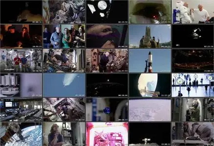 A Year in Space (2016)