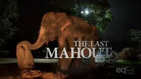 Off the Fence - The Last Mahout (2008)