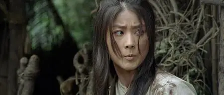 Jiang shan mei ren / An Empress and the Warriors (2008)