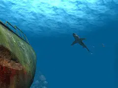 Shark Screensaver