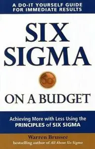 Six Sigma on a Budget: Achieving More with Less Using the Principles of Six Sigma