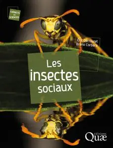 Éric Darrouzet, Bruno Corbara, "Les insectes sociaux"
