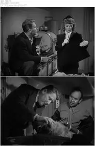Without Love (1945)