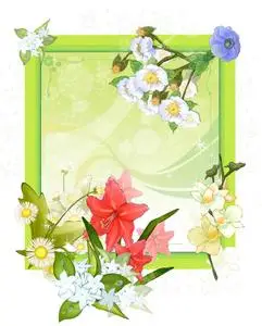Frame - BFB Flowers