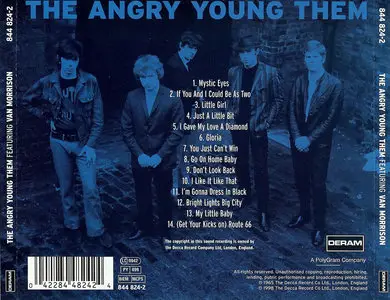 Them - The Angry Young Them (1965)