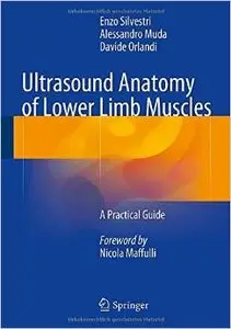 Ultrasound Anatomy of Lower Limb Muscles: A Practical Guide