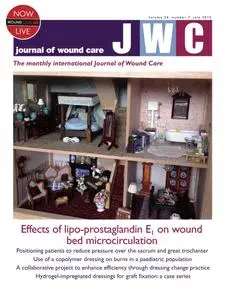 Journal of Wound Care - July 2015