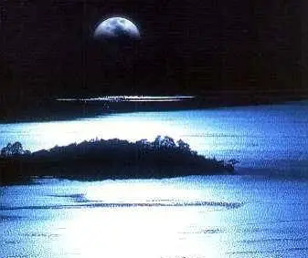 John Mills - Hallowed Moon (1999)