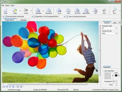 RiDoc 4.3.1.0