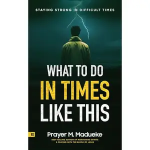 What to Do in Times like This: Staying Strong in Difficult Times [Audiobook]