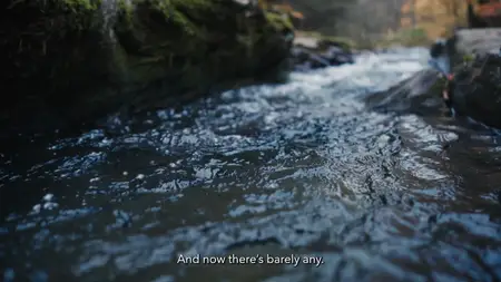 PBS - POV The Age of Water (2025)