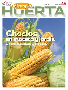 La Huerta en Casa - Fasciculo 10 2024