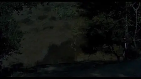 Drums Across the River (1954)