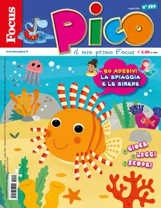 Focus Pico N.197 - 5 Luglio 2024