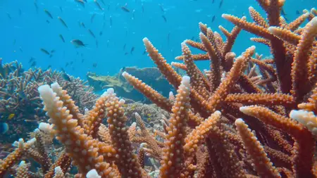 Tiny World S02E05