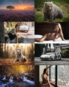 Wallpapers Mix N1916