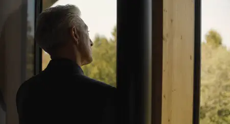 The Shrouds (2024)
