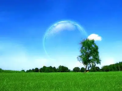 Grassy Wallpaper