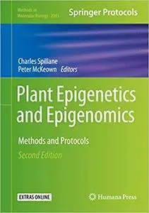 Plant Epigenetics and Epigenomics: Methods and Protocols  Ed 2